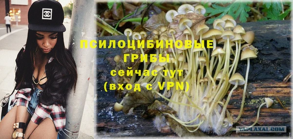 хмурый Дмитровск