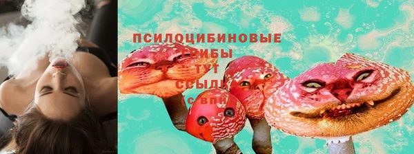 хмурый Дмитровск