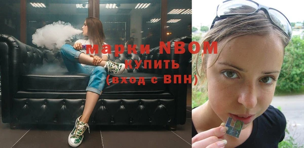 хмурый Дмитровск