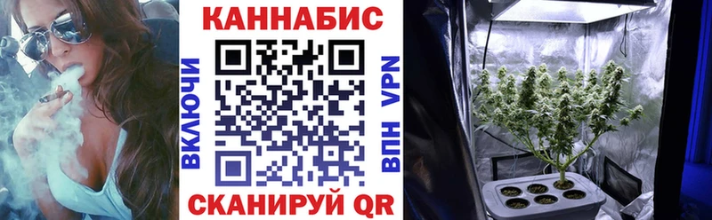 Бошки Шишки THC 21%  Южа 